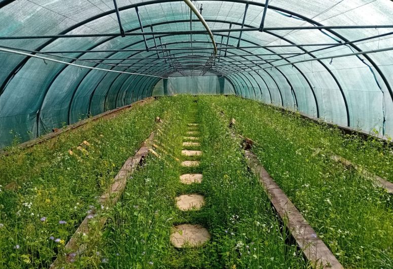 Le Maligorn Gourmand – Ferme Hélicicole